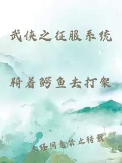 武侠之征服系统
