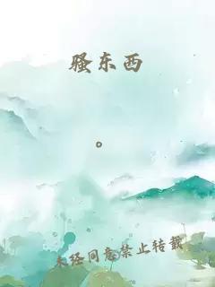 骚东西