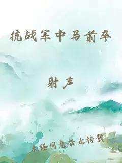 抗战军中马前卒