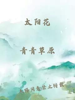 太阳花
