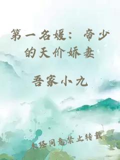 第一名媛：帝少的天价娇妻