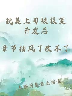 貌美上司被报复开发后