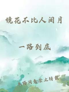 镜花不比人间月