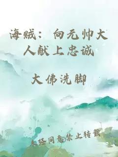 海贼：向元帅大人献上忠诚