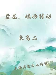 盘龙，磁场转动