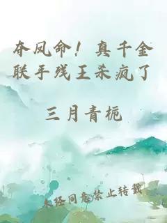 夺凤命！真千金联手残王杀疯了
