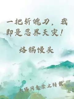 一把斩魄刀，我即是忍界天灾！