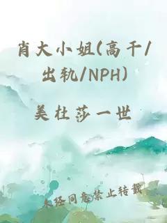 肖大小姐(高干/出轨/NPH)