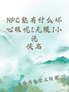 NPC能有什么坏心眼呢[无限]小说