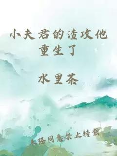 小夫君的渣攻他重生了