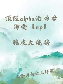 顶级alpha沦为母狗受【np】