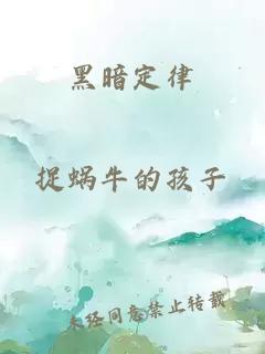 黑暗定律