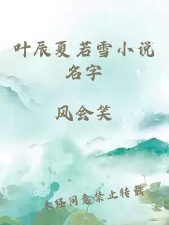 叶辰夏若雪小说名字