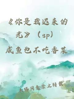 《你是我迟来的光》（sp）