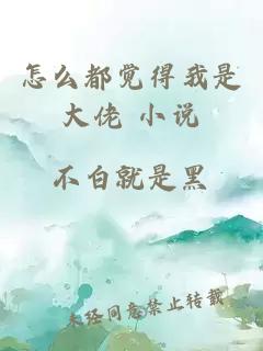 怎么都觉得我是大佬 小说