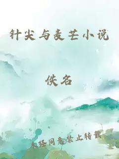 针尖与麦芒小说