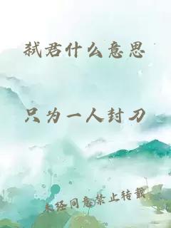 弑君什么意思